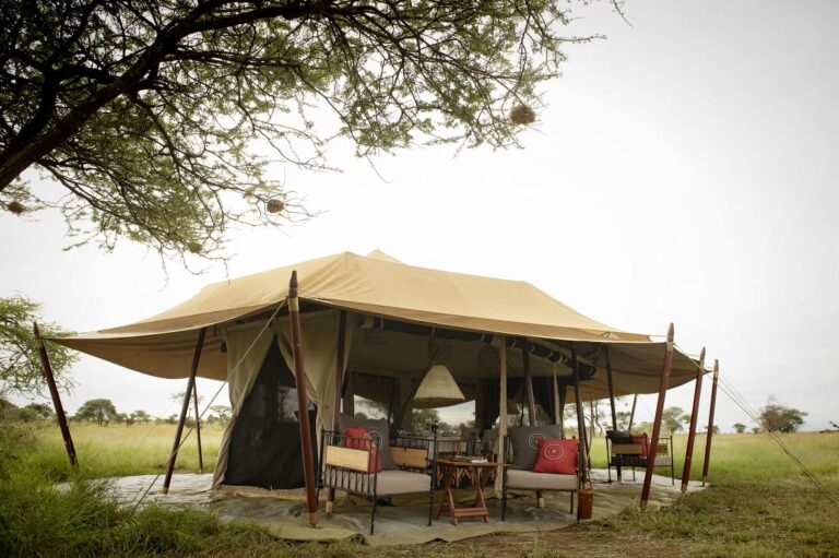 5-Days Camping Safari