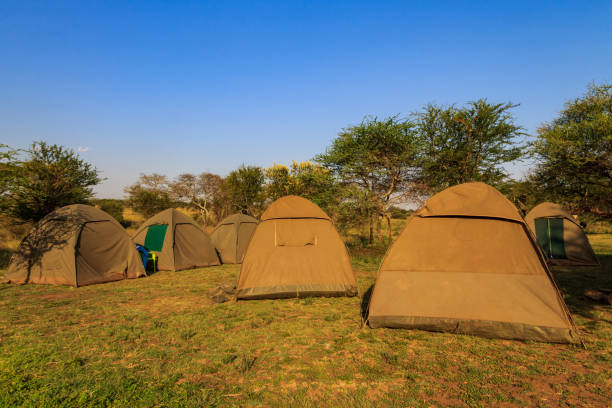 6-Days Camping Safari