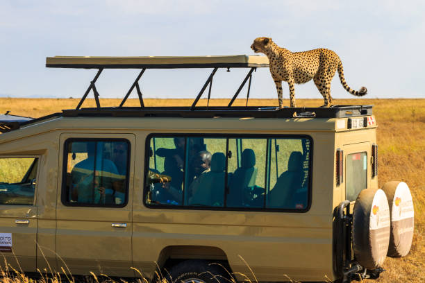 7-Days Budget Safari