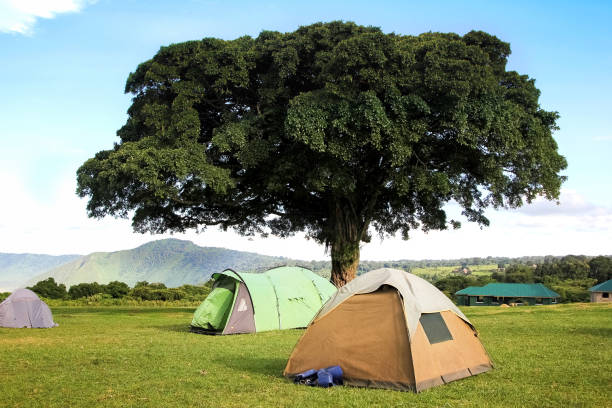 7-Days Camping Safari