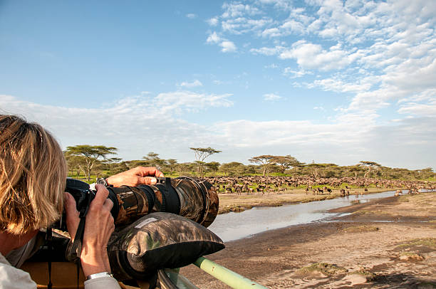 8-Days Migration Safari