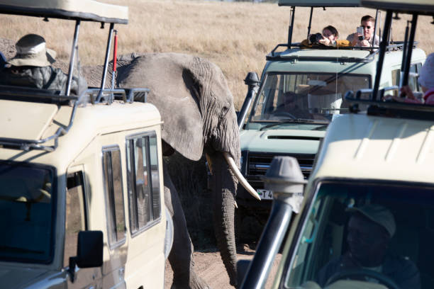 6-Days Join Safari