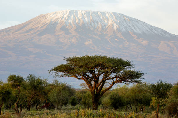6-Days Machame Route