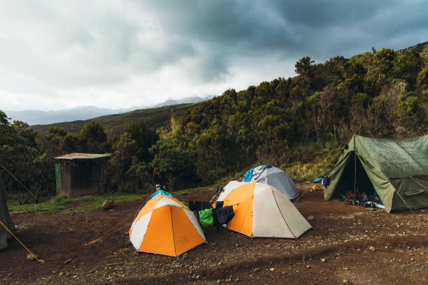 8-Days Marangu Route