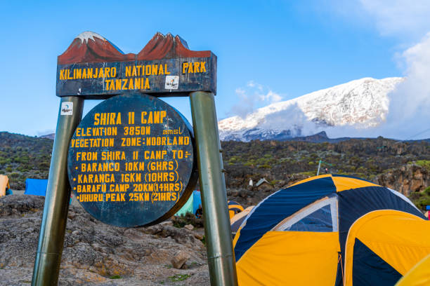 8-Days Rongai Route