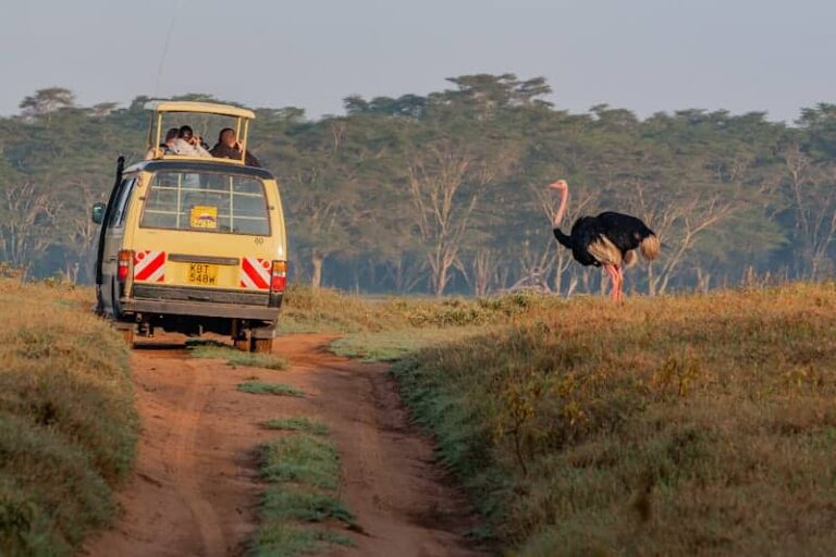 5-Days Uganda Safari