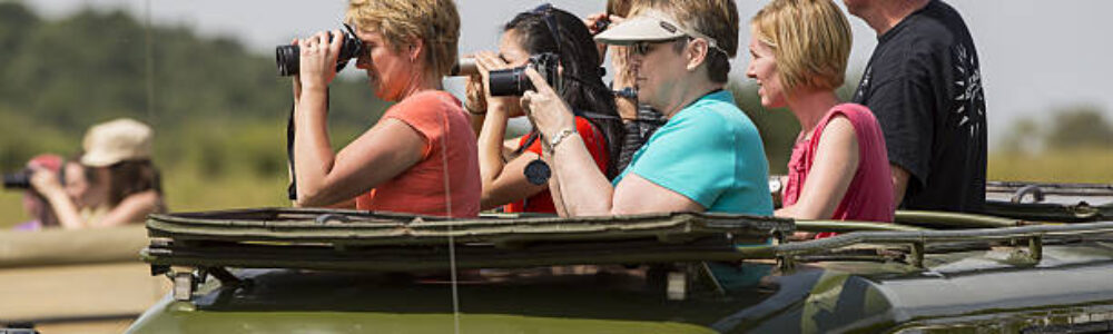 IMG-20250317-WA0015