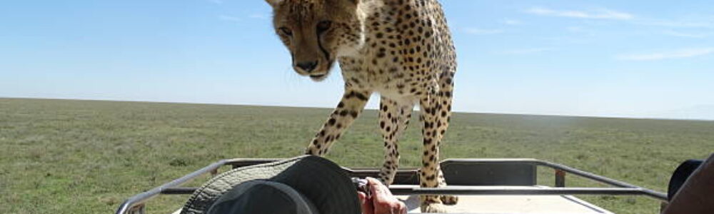 IMG-20250406-WA0036