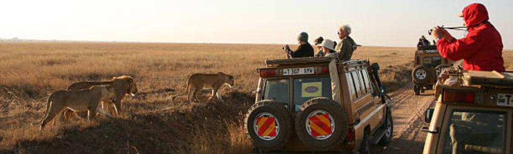 IMG-20250406-WA0050