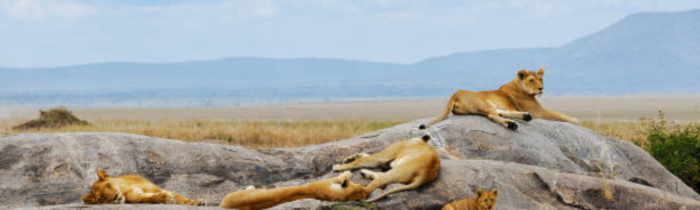 IMG-20250406-WA0083