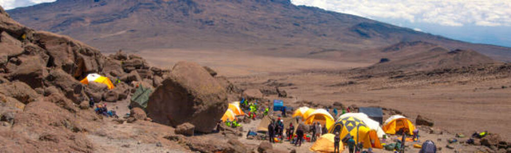 IMG-20250523-WA0020